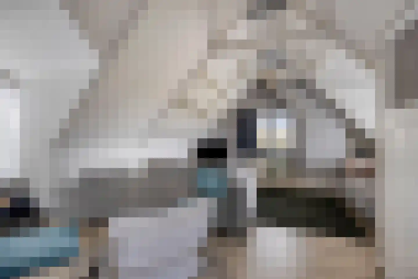 Wester Es 11 Appelscha thumbnail 37