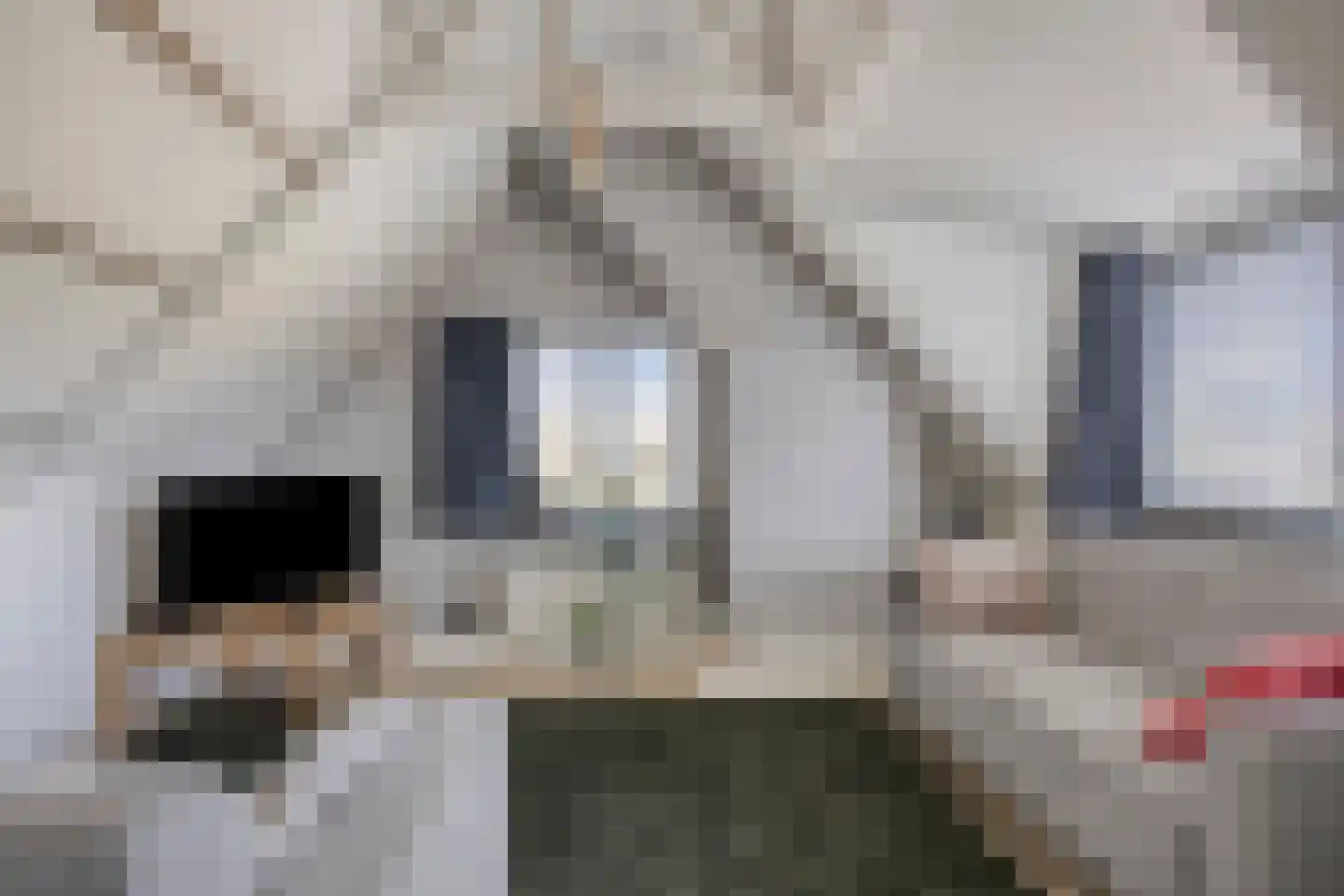Wester Es 11 Appelscha thumbnail 38