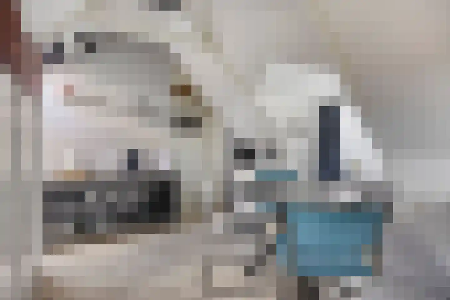 Wester Es 11 Appelscha thumbnail 40