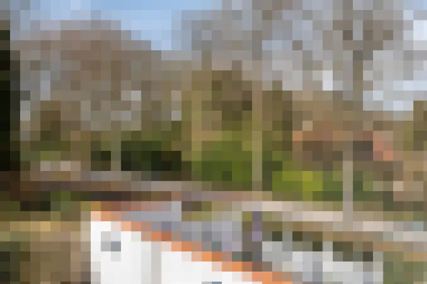 Wester Es 11 Appelscha thumbnail 41