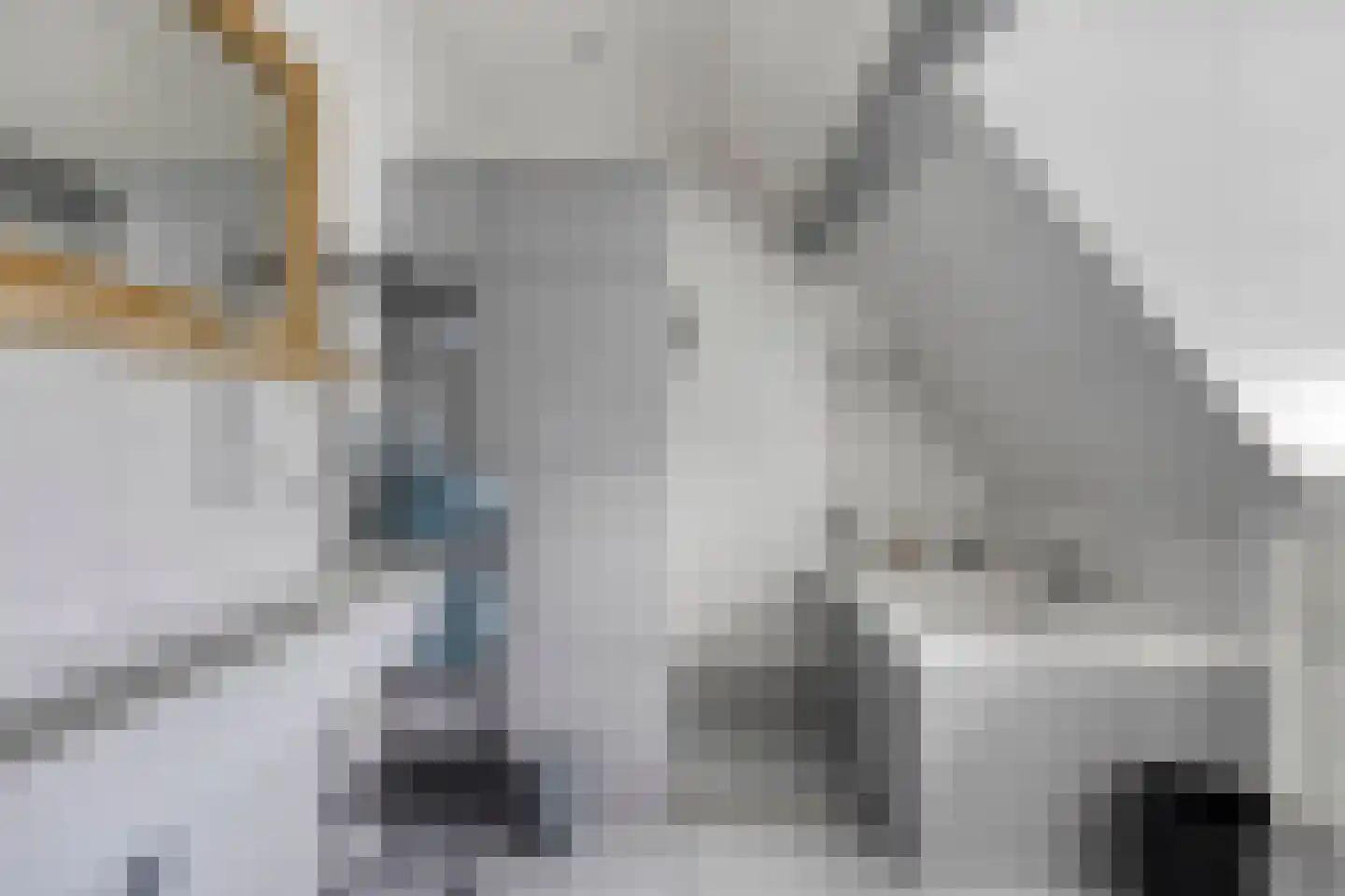 Wester Es 11 Appelscha thumbnail 42