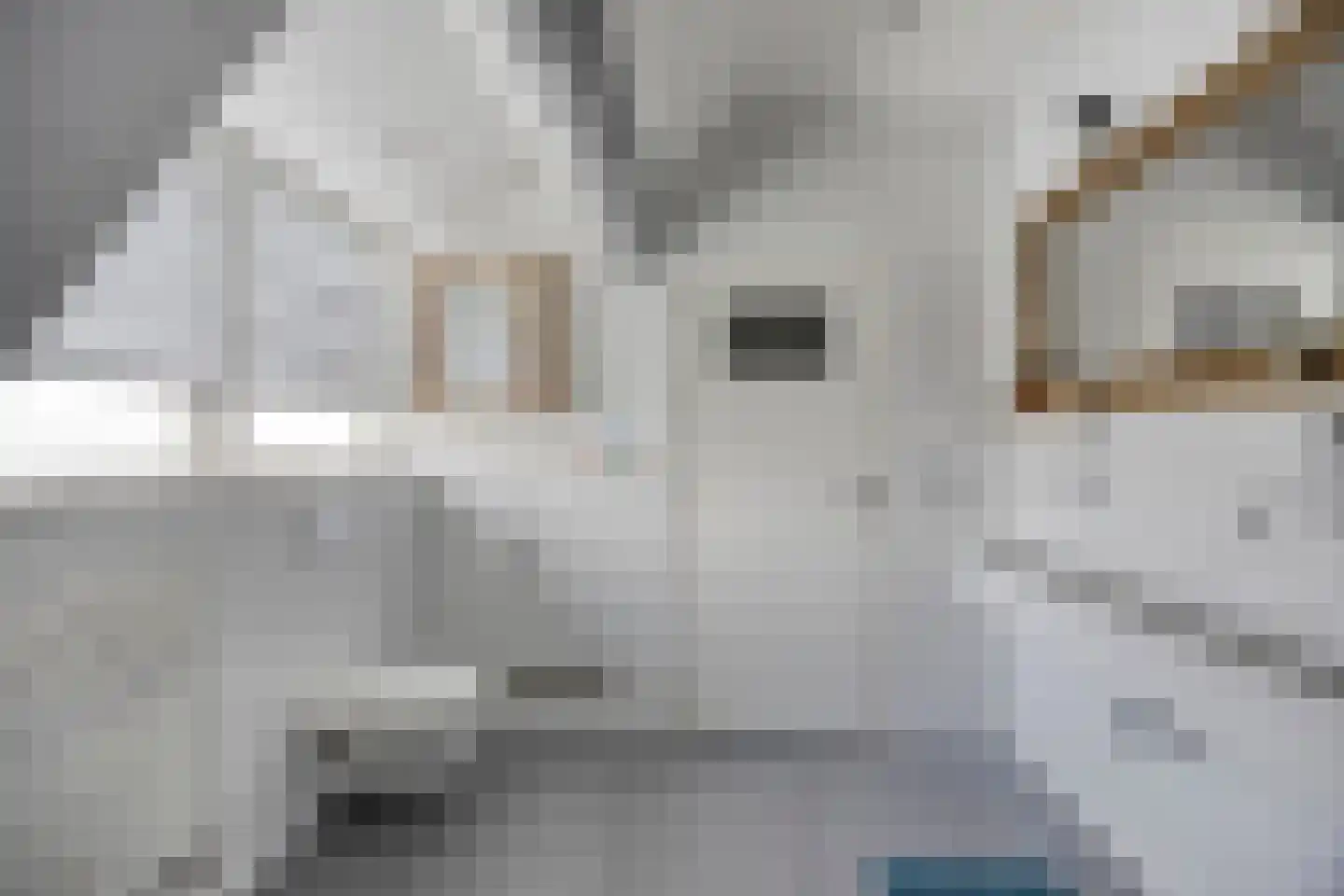 Wester Es 11 Appelscha thumbnail 43