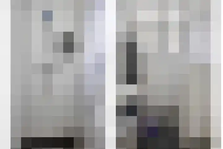 Wester Es 11 Appelscha thumbnail 43