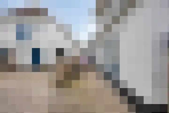Wester Es 11 Appelscha thumbnail 45