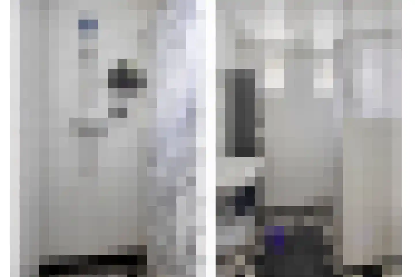 Wester Es 11 Appelscha thumbnail 45
