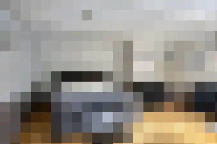 Wester Es 11 Appelscha thumbnail 46