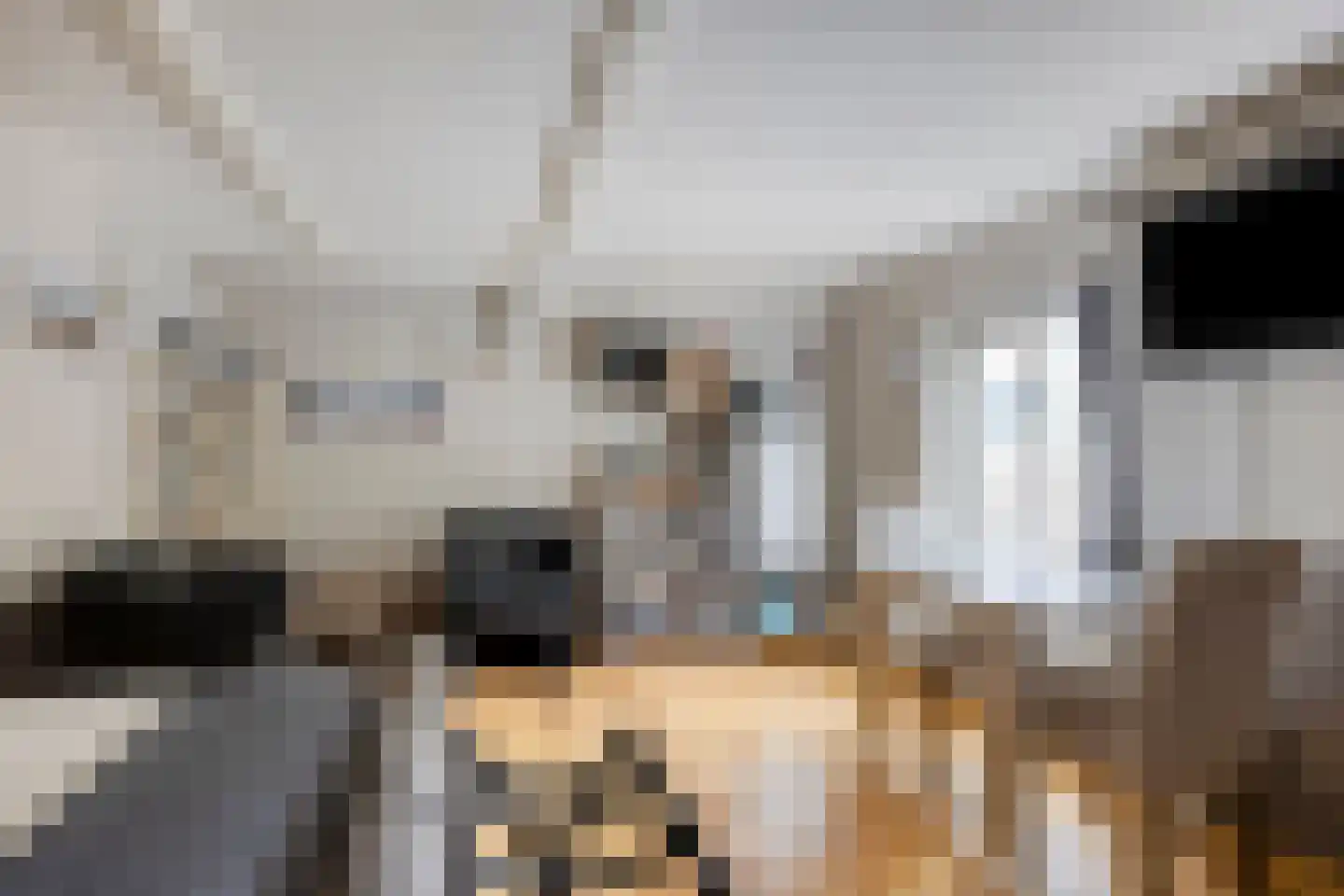 Wester Es 11 Appelscha thumbnail 49