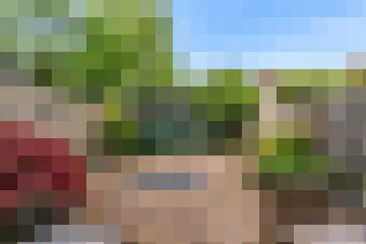 Wester Es 11 Appelscha thumbnail 52