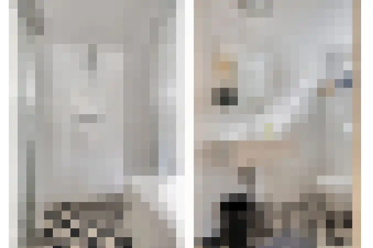 Wester Es 11 Appelscha thumbnail 54