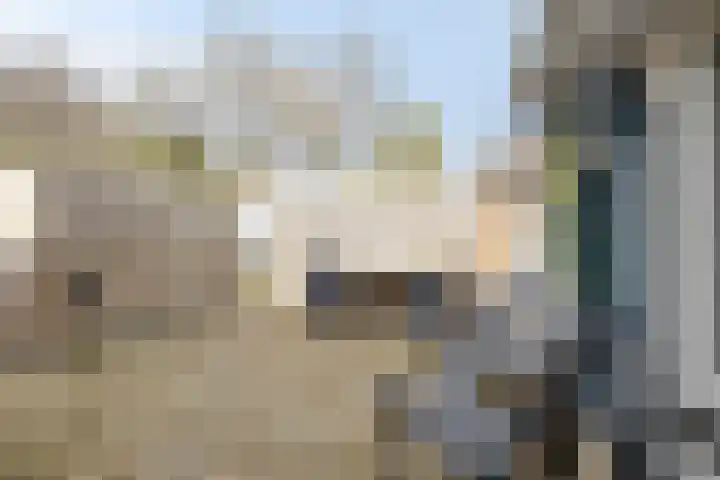 Wester Es 11 Appelscha thumbnail 54