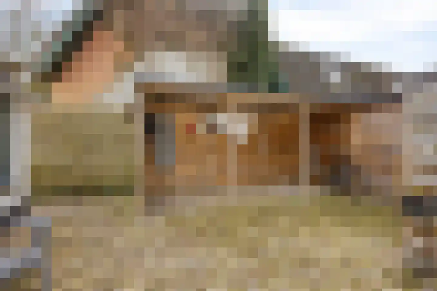 Wester Es 11 Appelscha thumbnail 58