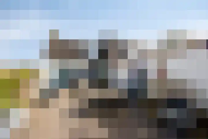 Wester Es 11 Appelscha thumbnail 59