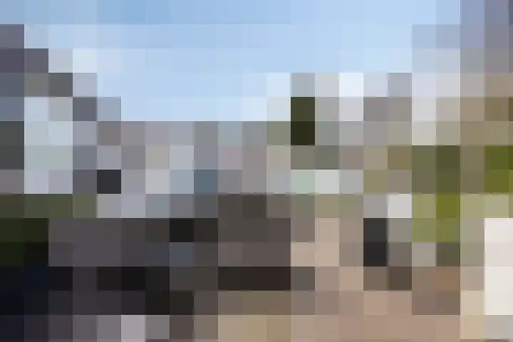 Wester Es 11 Appelscha thumbnail 60