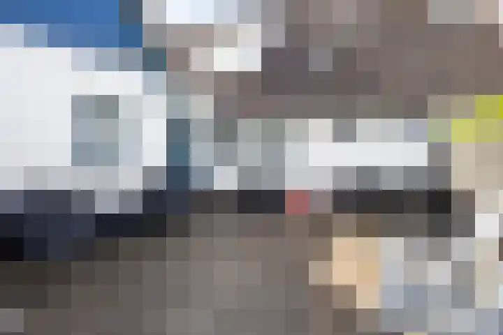 Wester Es 11 Appelscha thumbnail 61