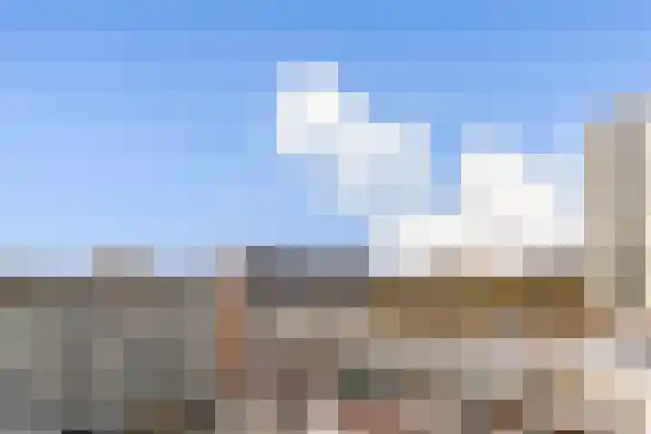 Wester Es 11 Appelscha thumbnail 64
