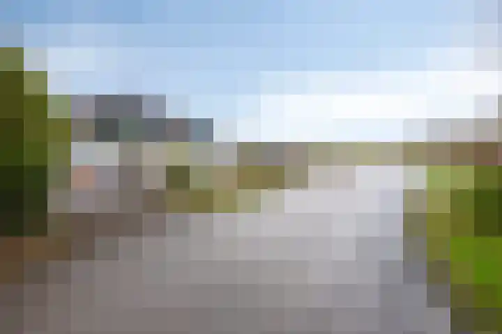 Wester Es 11 Appelscha thumbnail 66