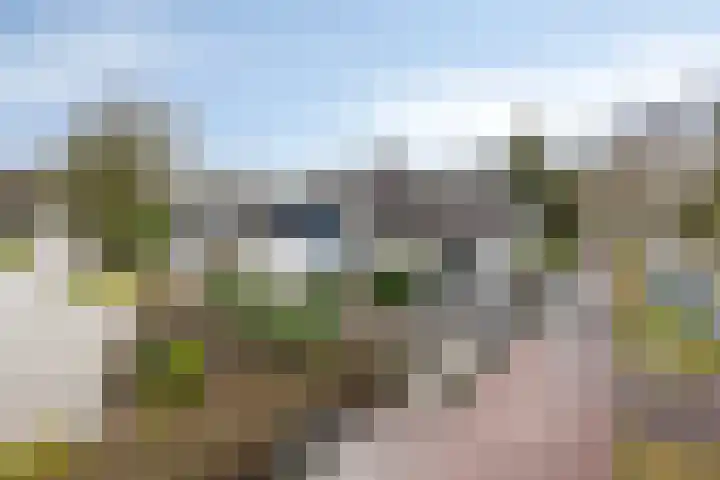 Wester Es 11 Appelscha thumbnail 67