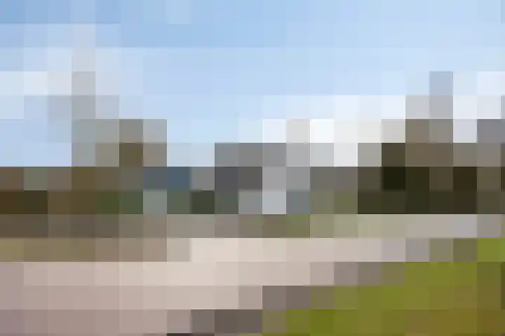 Wester Es 11 Appelscha thumbnail 69