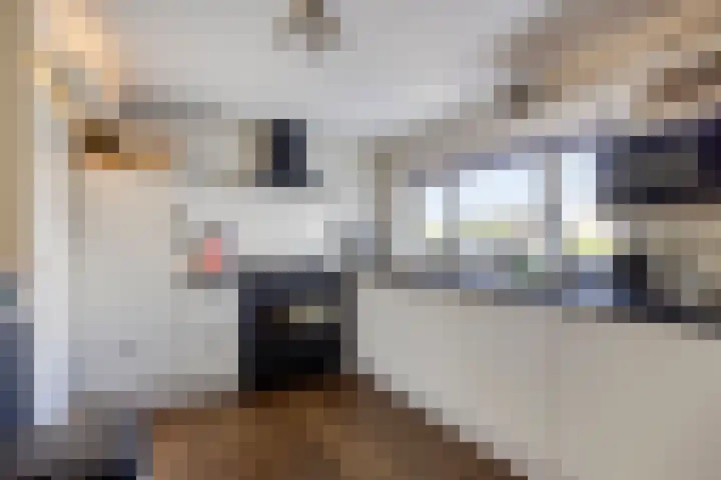 Wester Es 11 Appelscha thumbnail 8