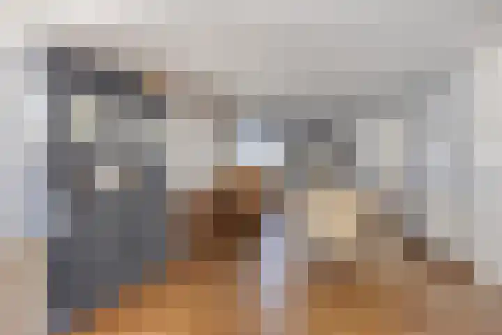 Wester Es 11 Appelscha thumbnail 9