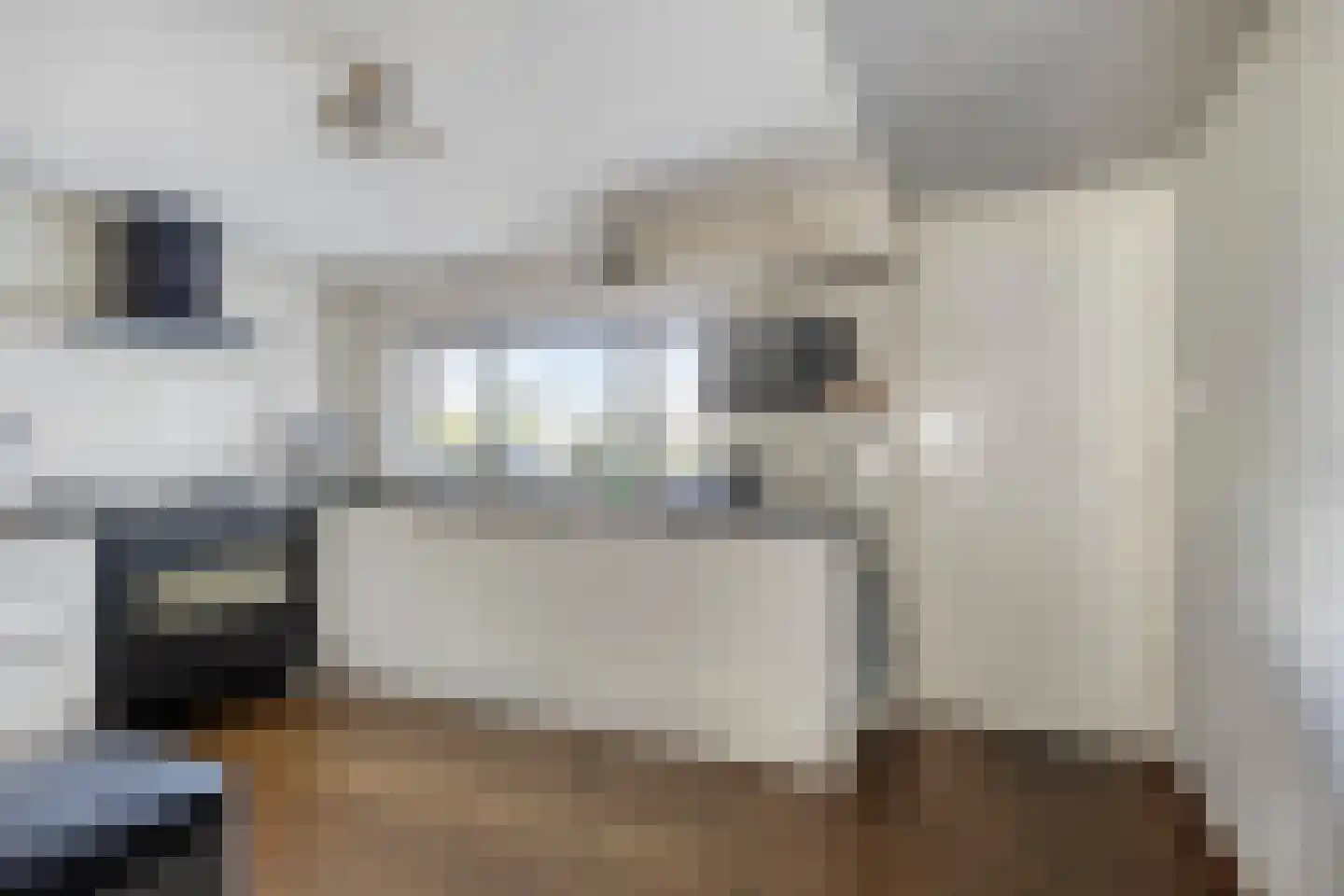 Wester Es 11 Appelscha thumbnail 9