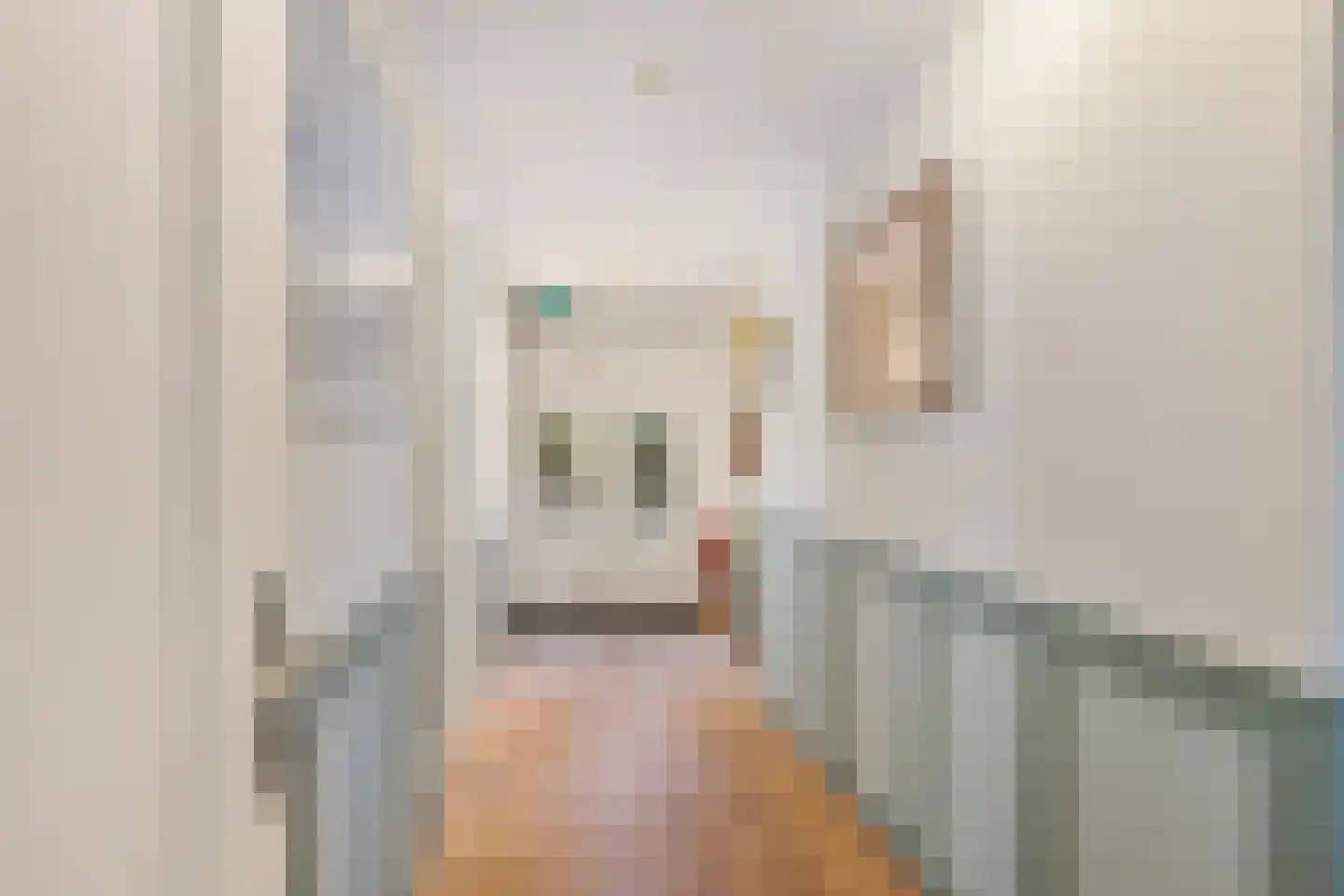 Wester Es 50 Appelscha thumbnail 10