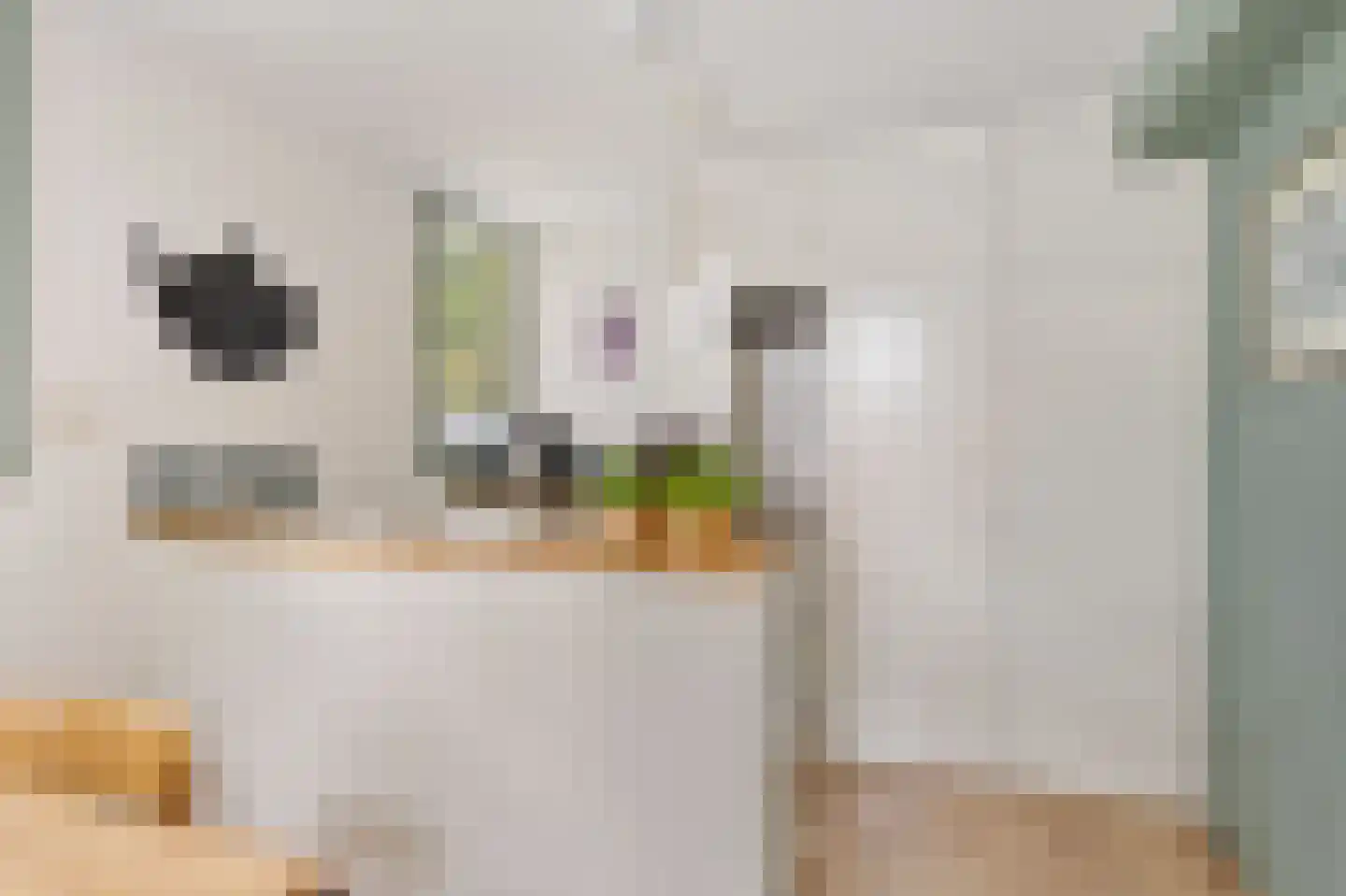 Wester Es 50 Appelscha thumbnail 14