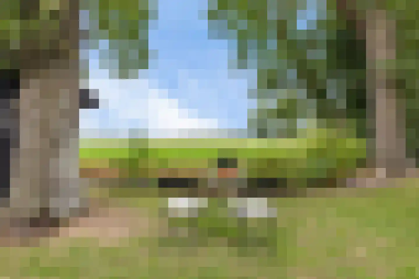 Wester Es 50 Appelscha foto 2