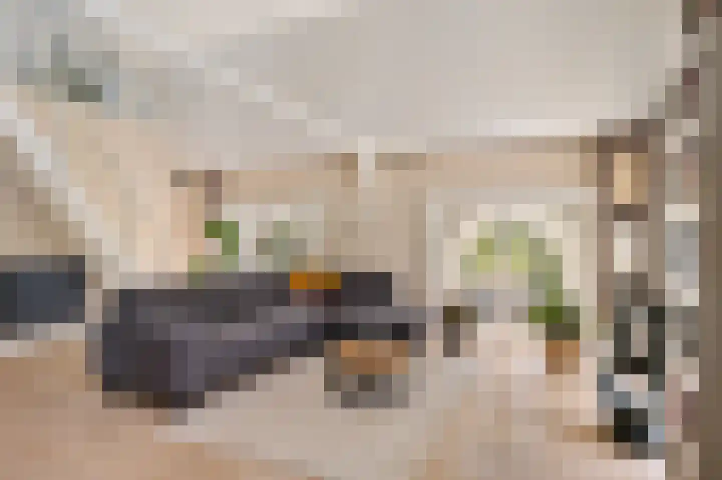 Wester Es 50 Appelscha thumbnail 25
