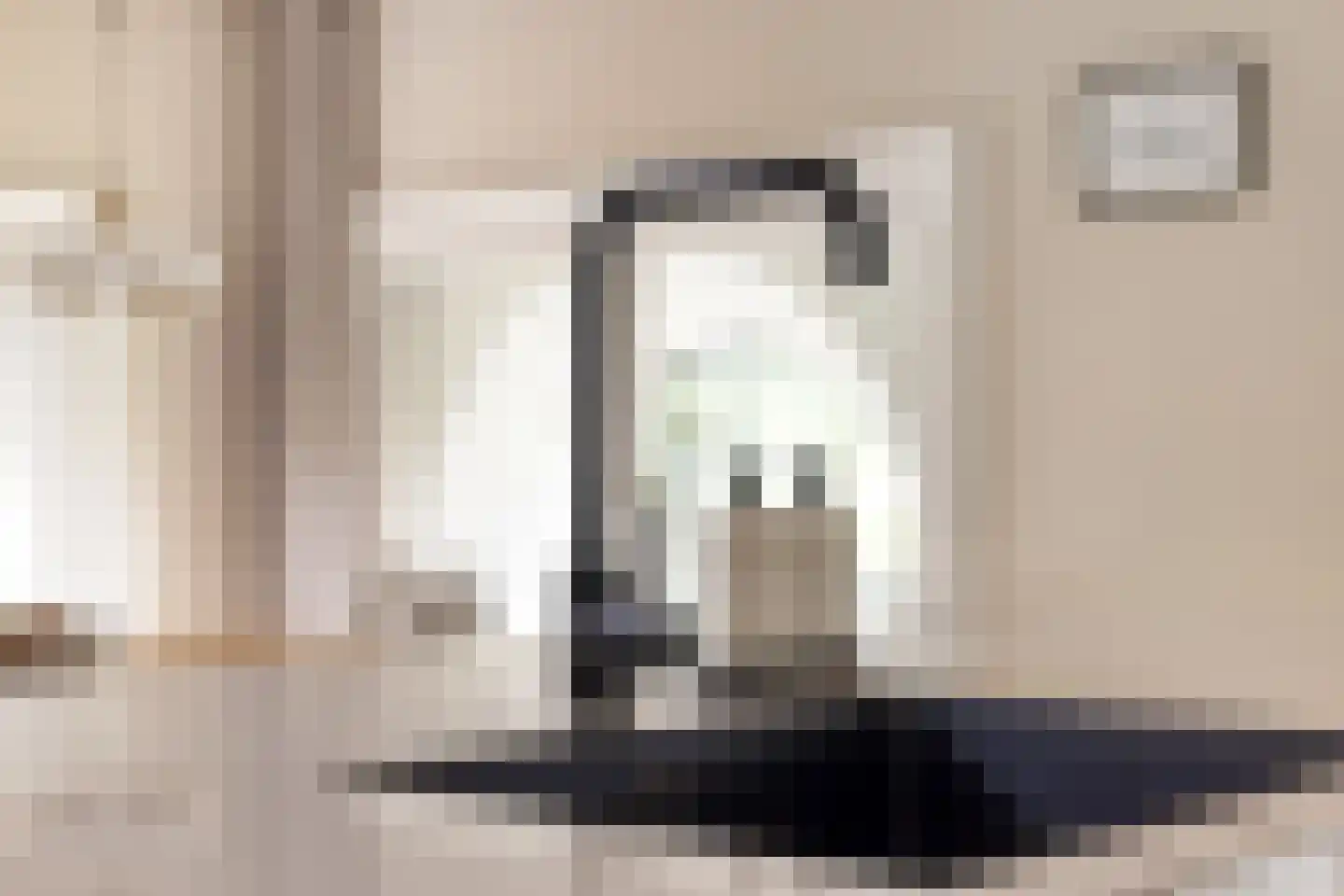 Wester Es 50 Appelscha thumbnail 29