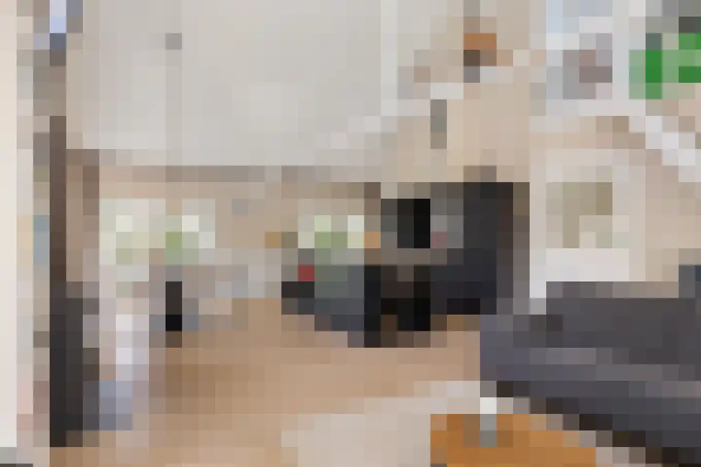 Wester Es 50 Appelscha foto 3