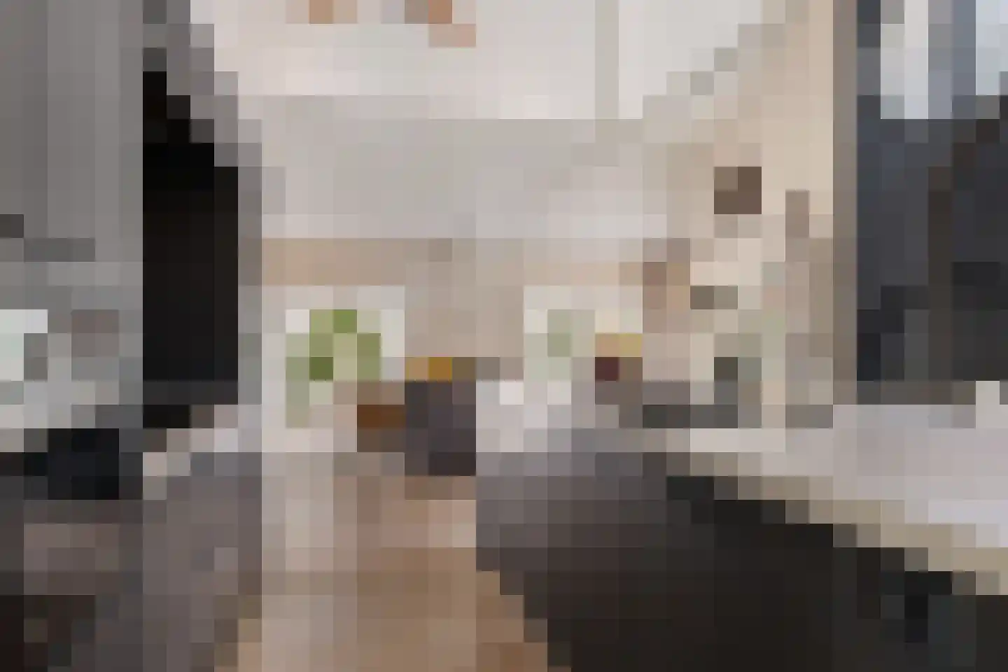Wester Es 50 Appelscha thumbnail 30