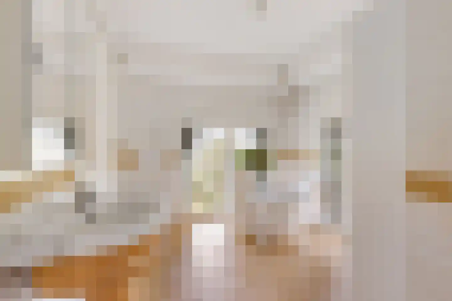 Wester Es 50 Appelscha thumbnail 33