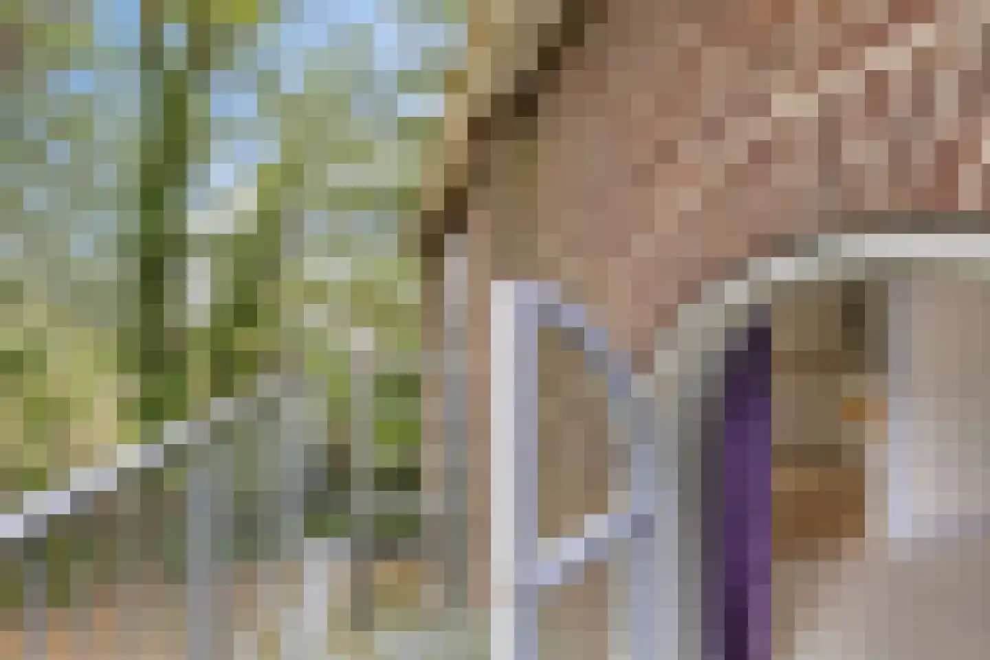 Wester Es 50 Appelscha thumbnail 37