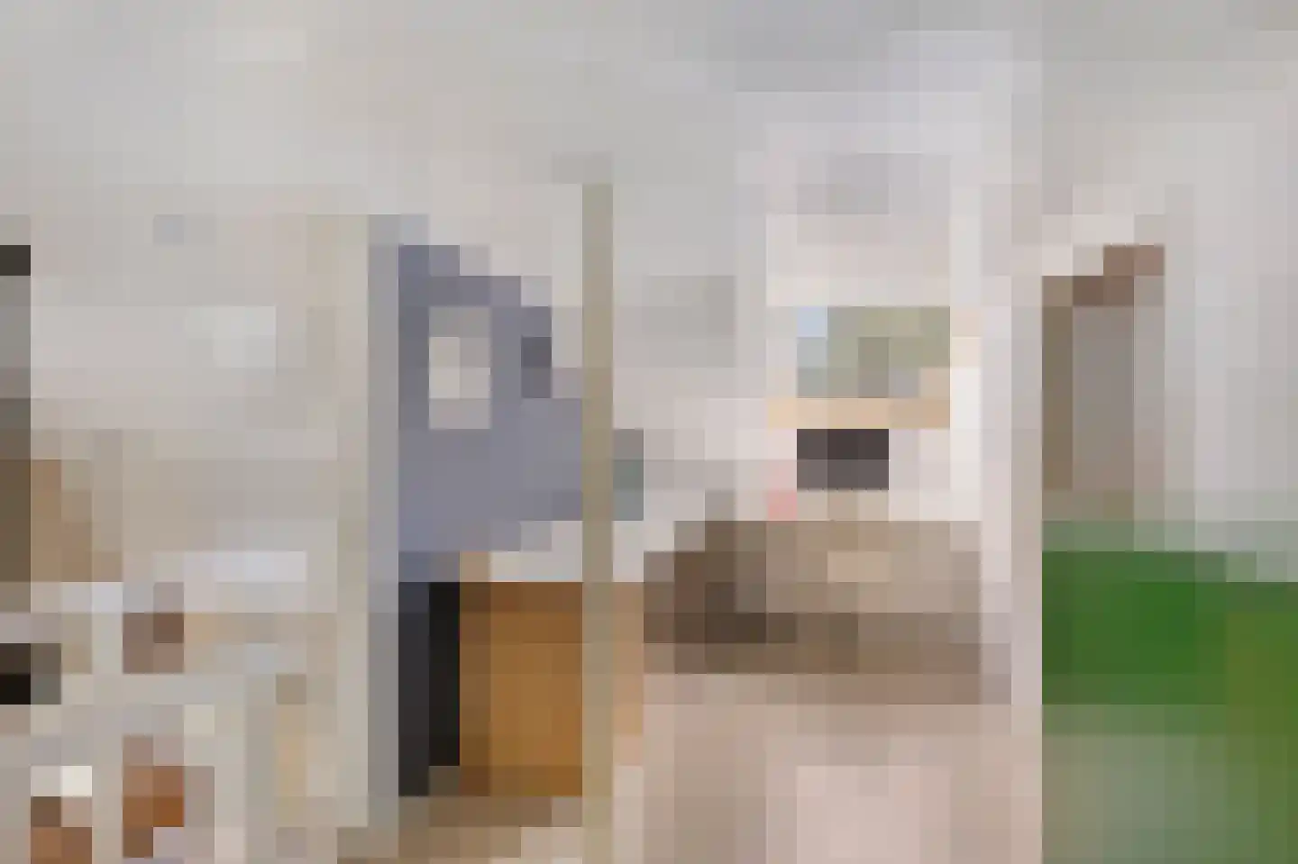 Wester Es 50 Appelscha thumbnail 38