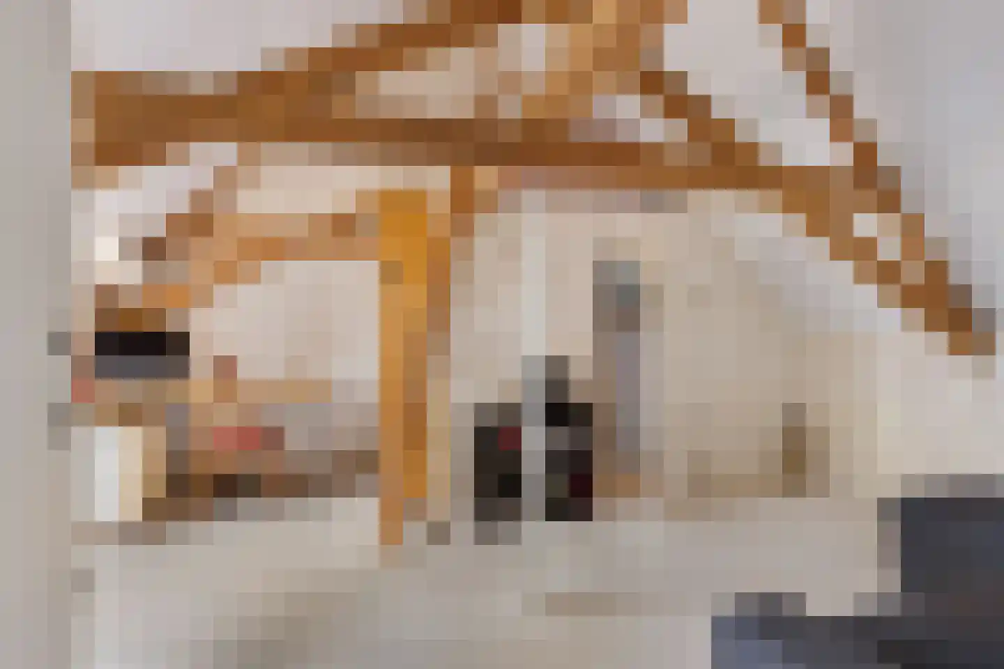 Wester Es 50 Appelscha thumbnail 39