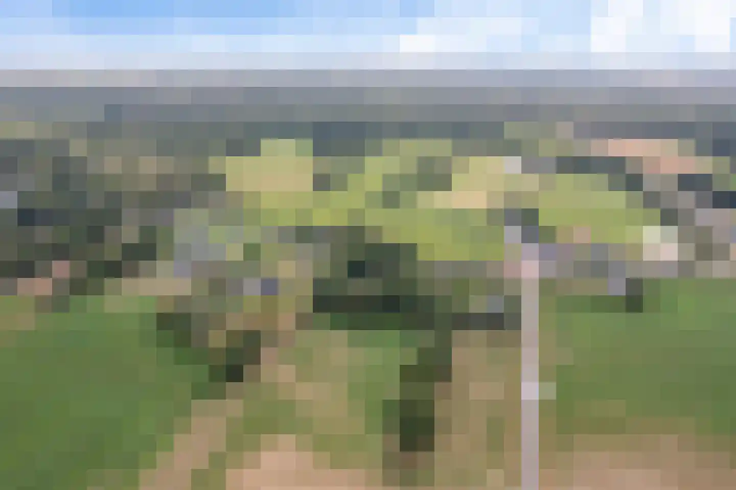 Wester Es 50 Appelscha thumbnail 41