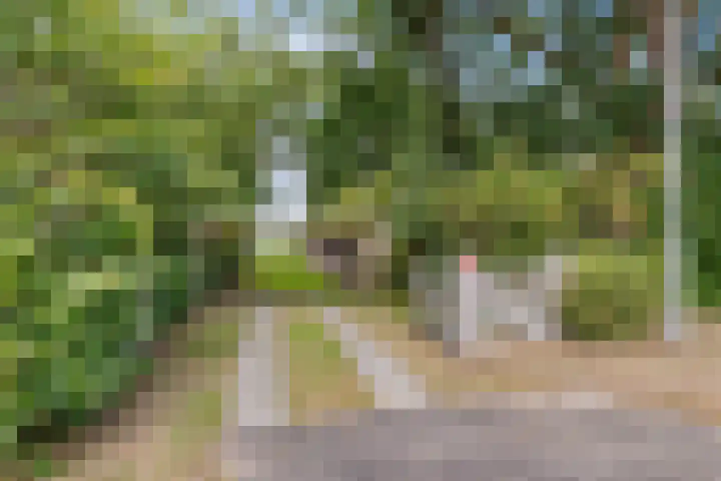 Wester Es 50 Appelscha thumbnail 44