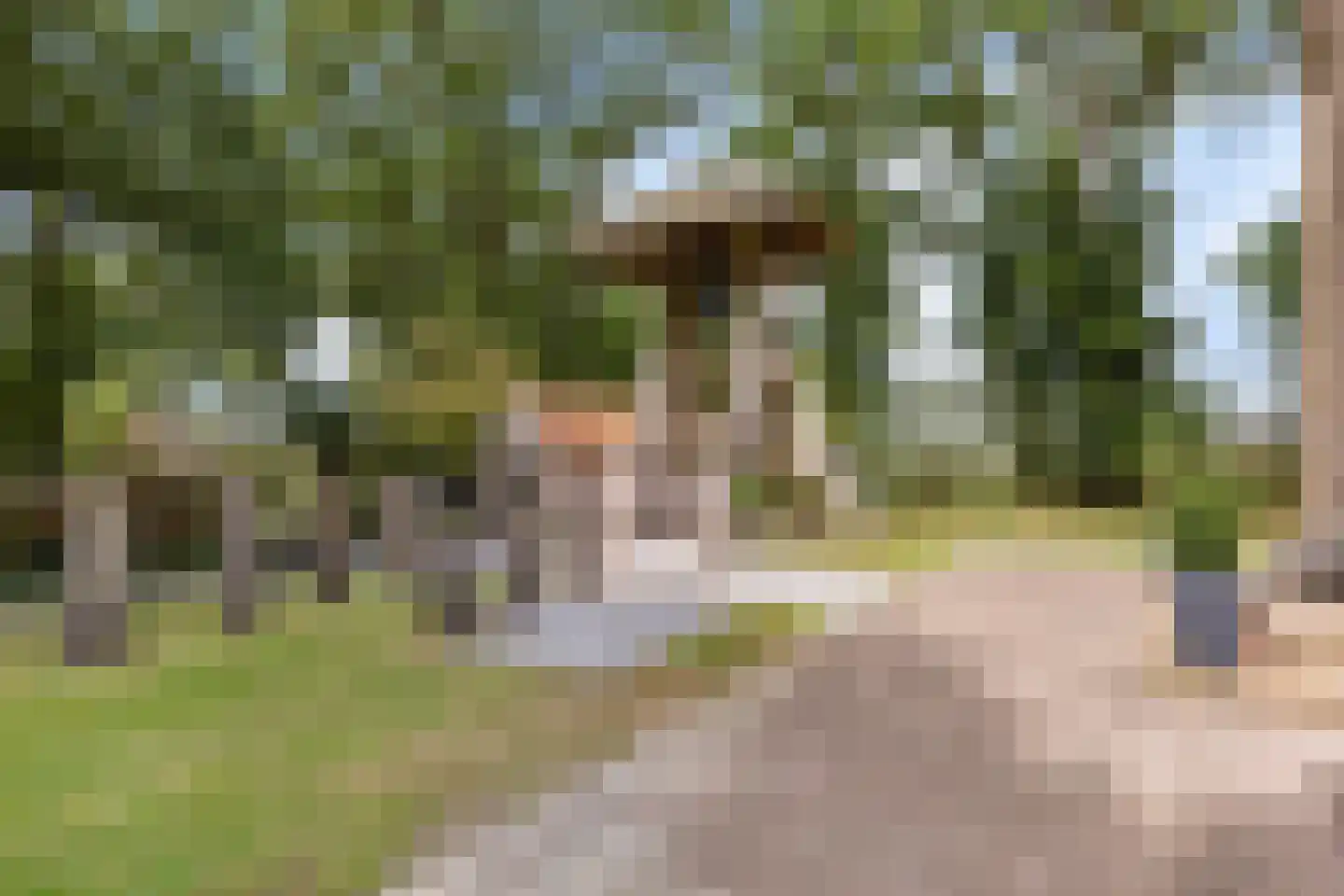 Wester Es 50 Appelscha thumbnail 47