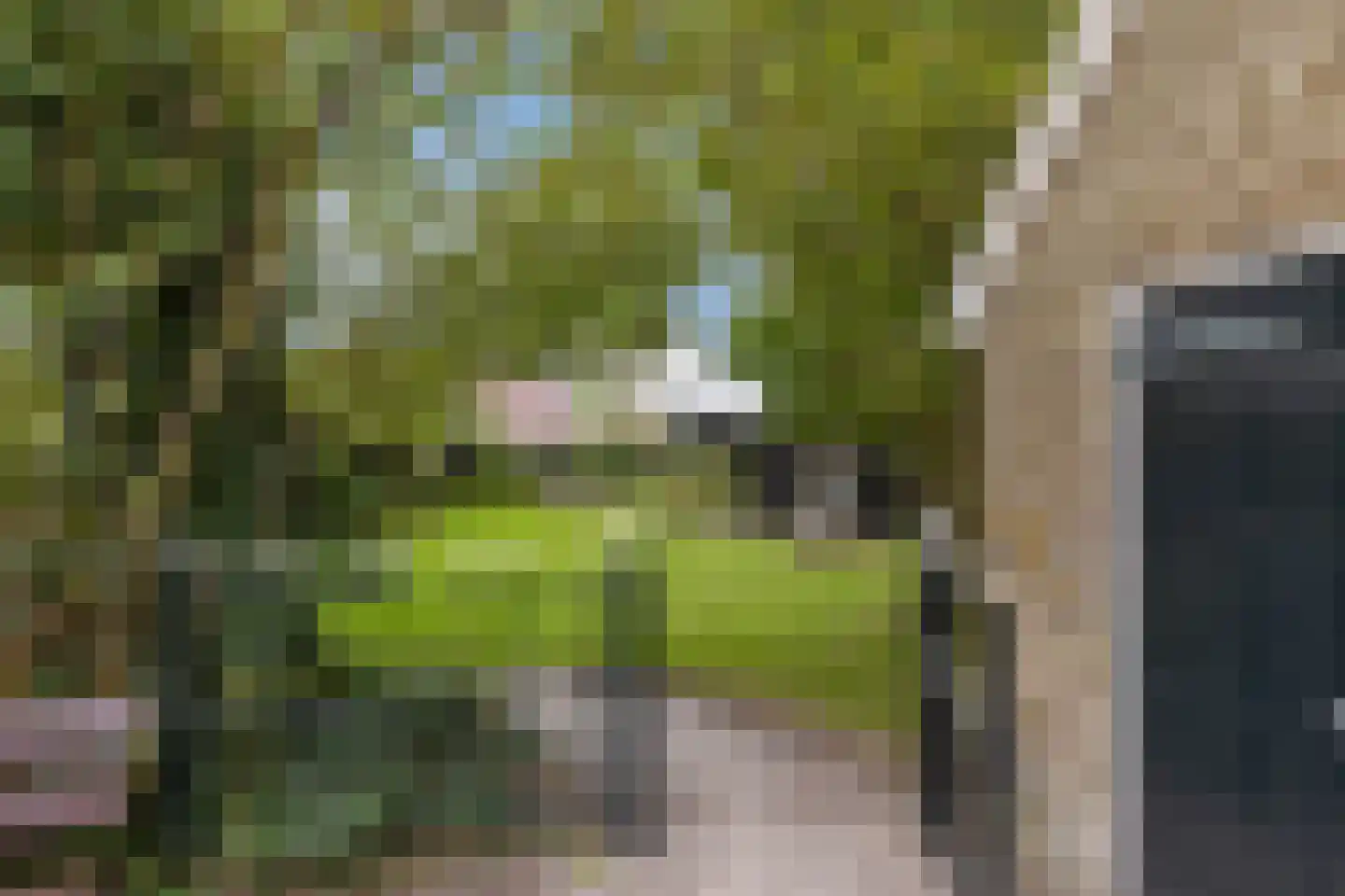 Wester Es 50 Appelscha thumbnail 48
