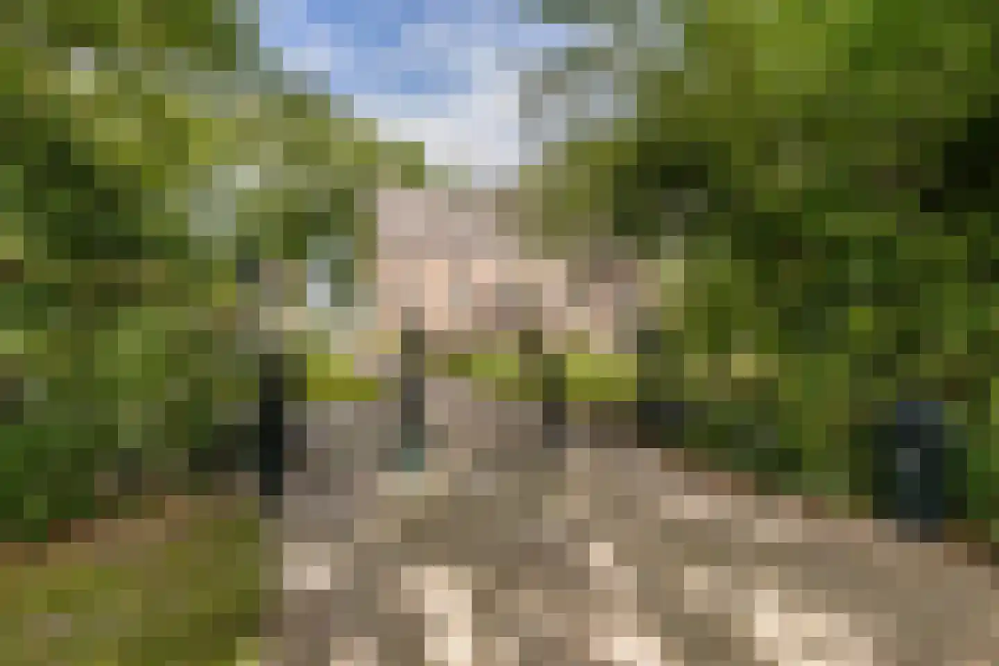 Wester Es 50 Appelscha thumbnail 5