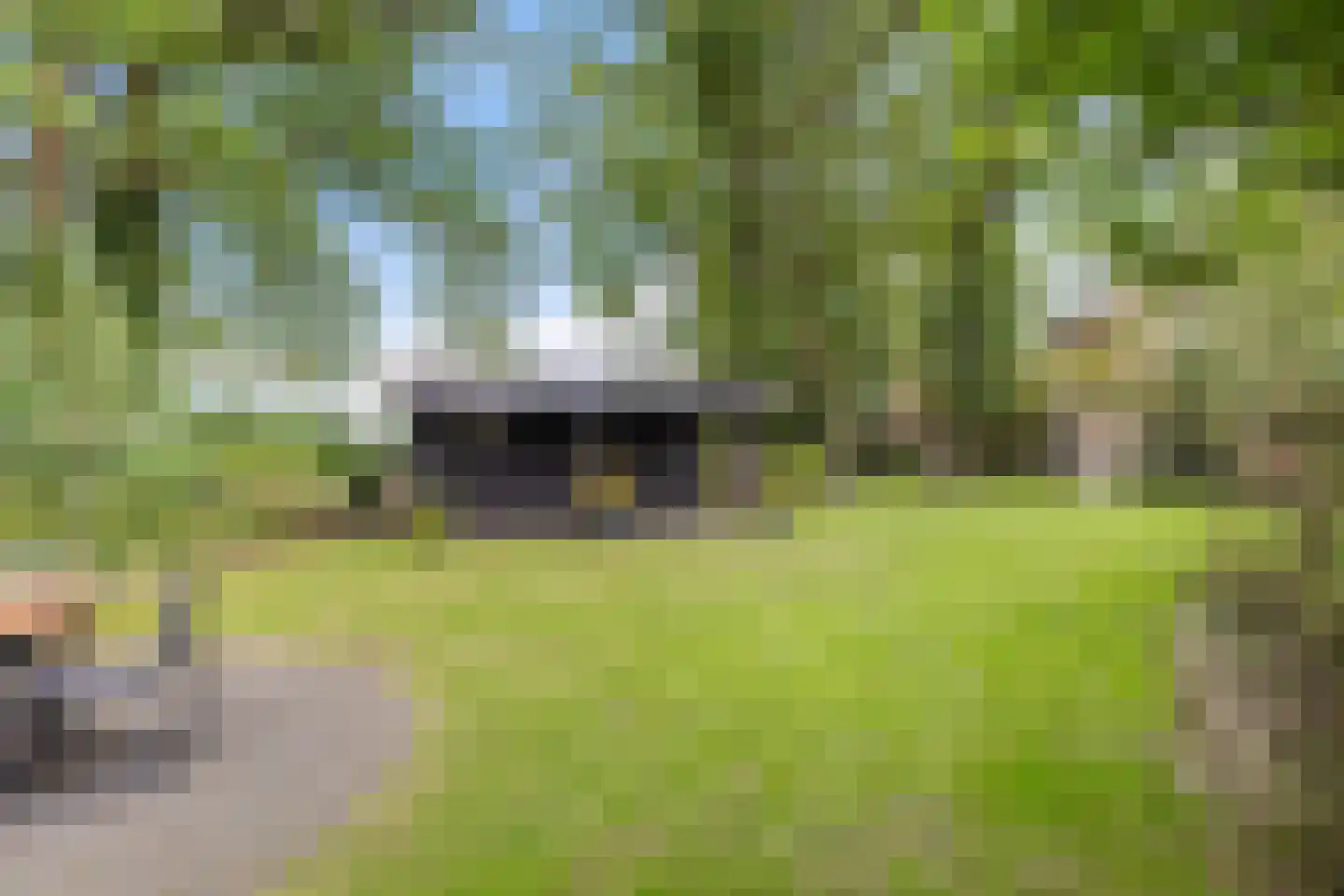Wester Es 50 Appelscha thumbnail 50