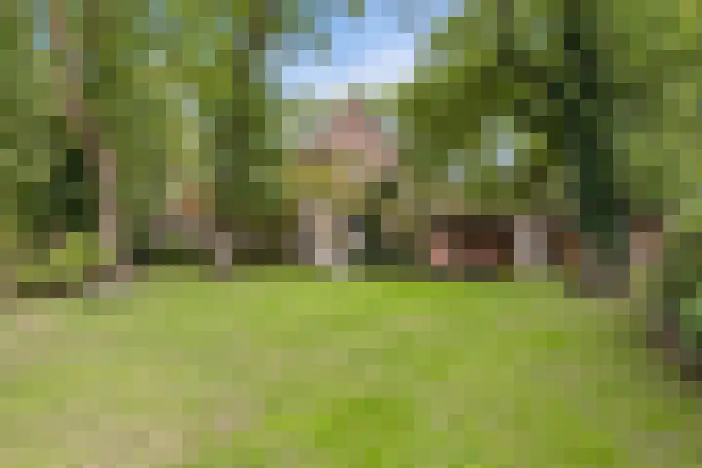 Wester Es 50 Appelscha thumbnail 51