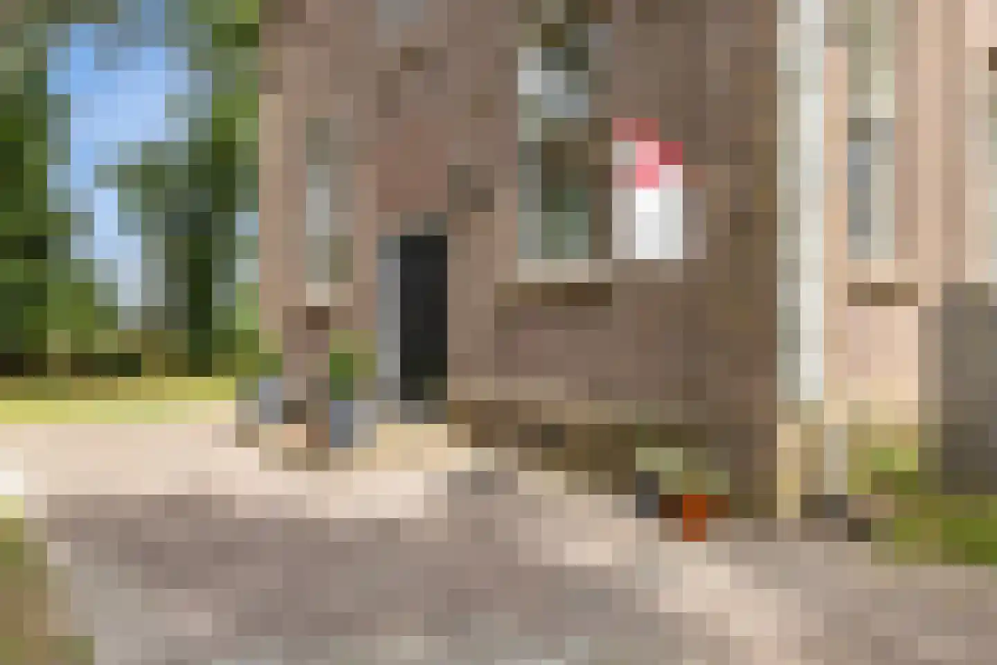 Wester Es 50 Appelscha thumbnail 7