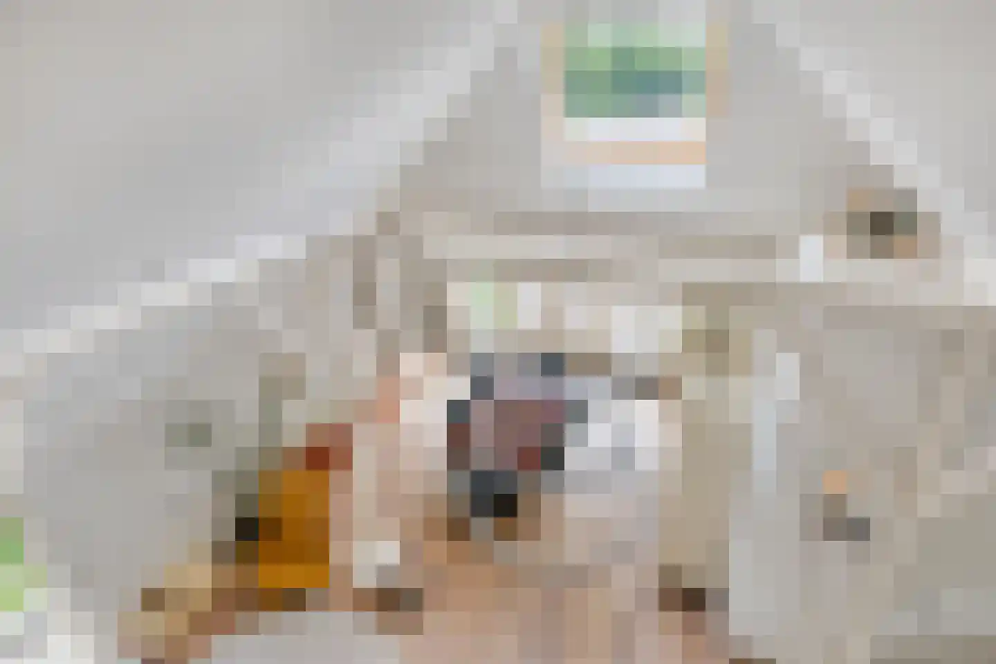 Wester Es 9 Appelscha thumbnail 12
