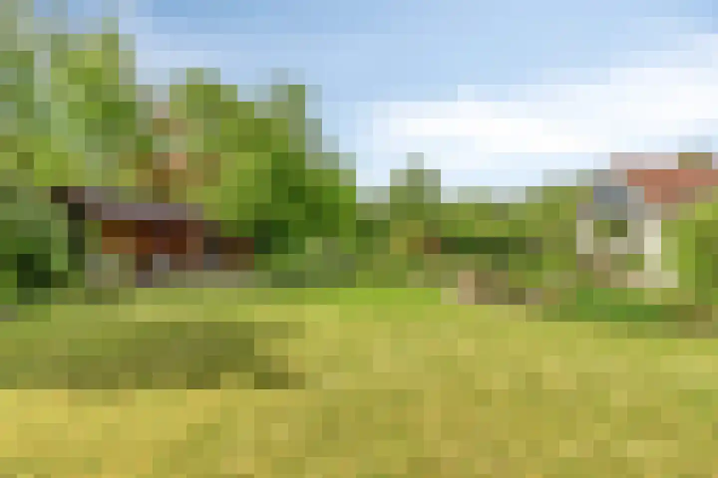 Wester Es 9 Appelscha foto 2