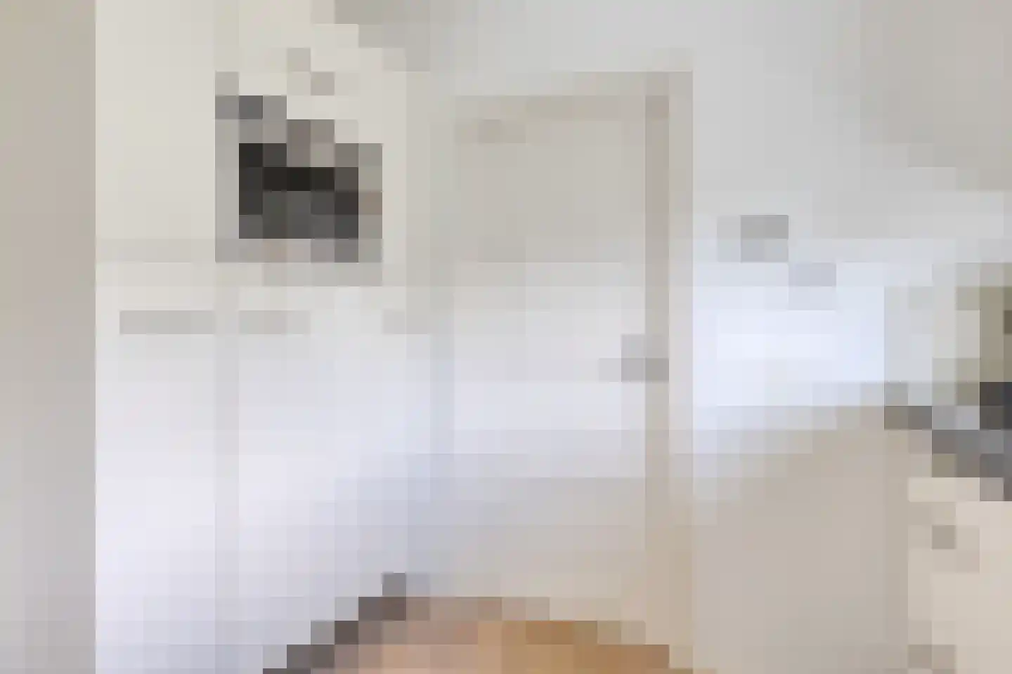 Wester Es 9 Appelscha thumbnail 21