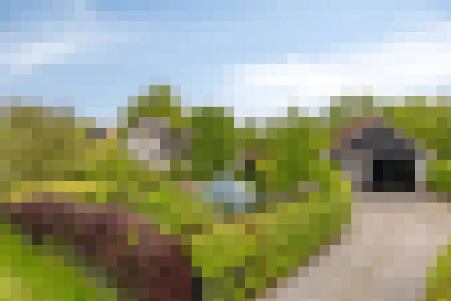 Wester Es 9 Appelscha foto 3
