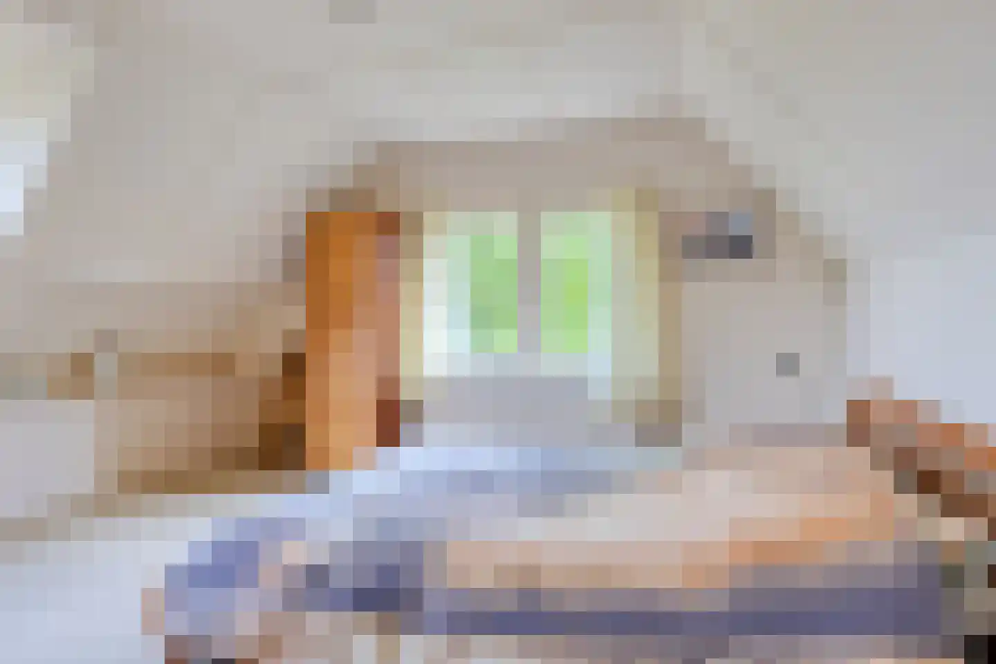 Wester Es 9 Appelscha thumbnail 30