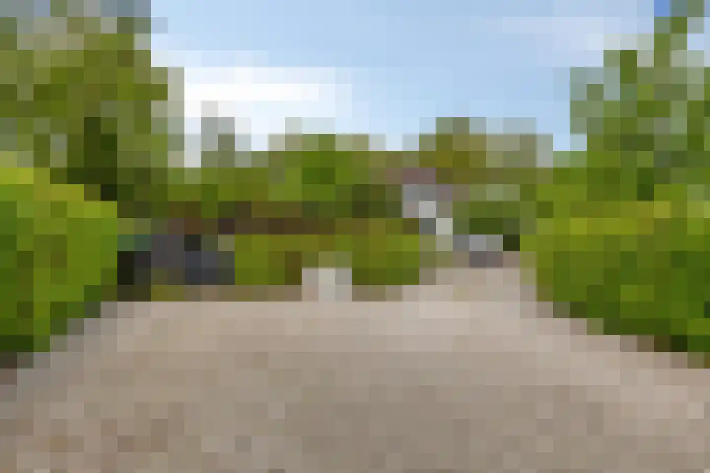 Wester Es 9 Appelscha thumbnail 34